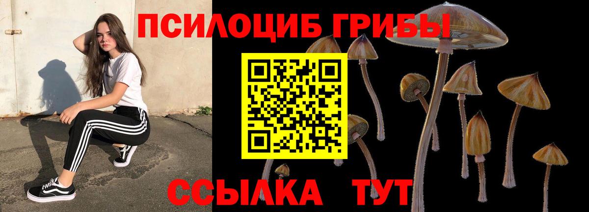 Псилоцибиновые грибы мицелий  магазин    Нефтекамск  Вход с VPN 